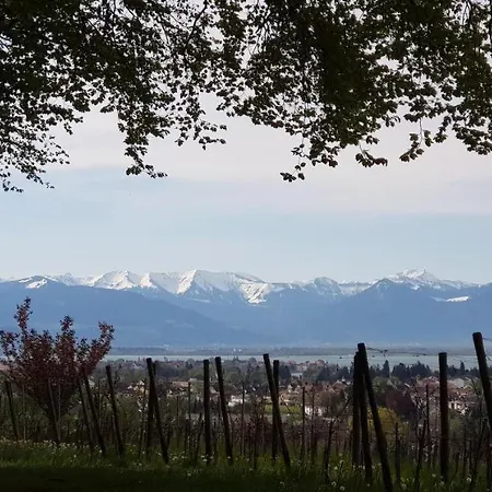 Alpenblick 3