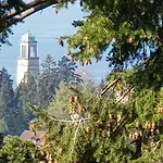 Apartmán Alpenblick 3 *